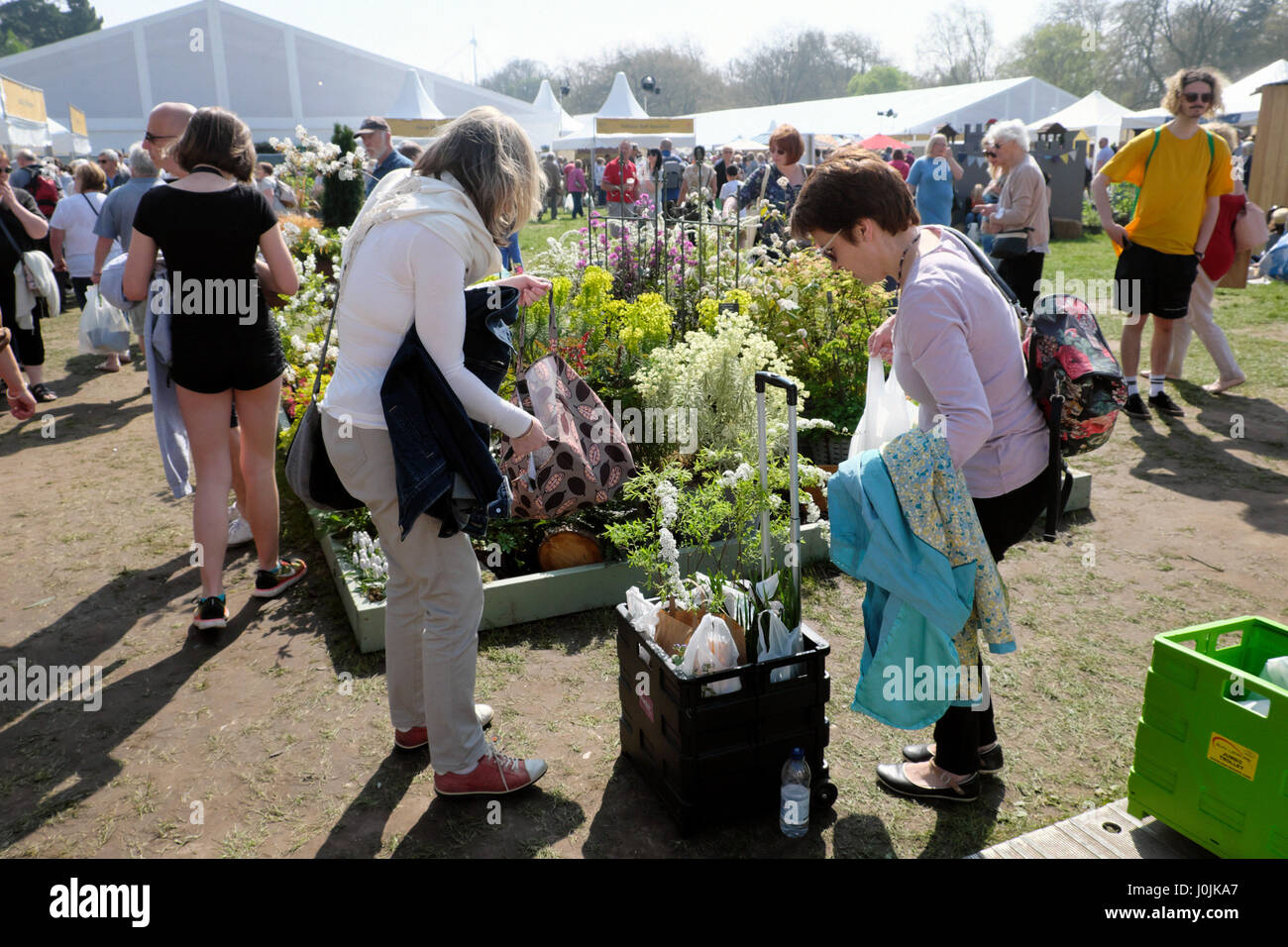 Visitors loading up a wheeled carrier box with shopping purchased plants at the RHS Garden Show in Bute Park, Cardiff, Wales UK   KATHY DEWITT Stock Photo