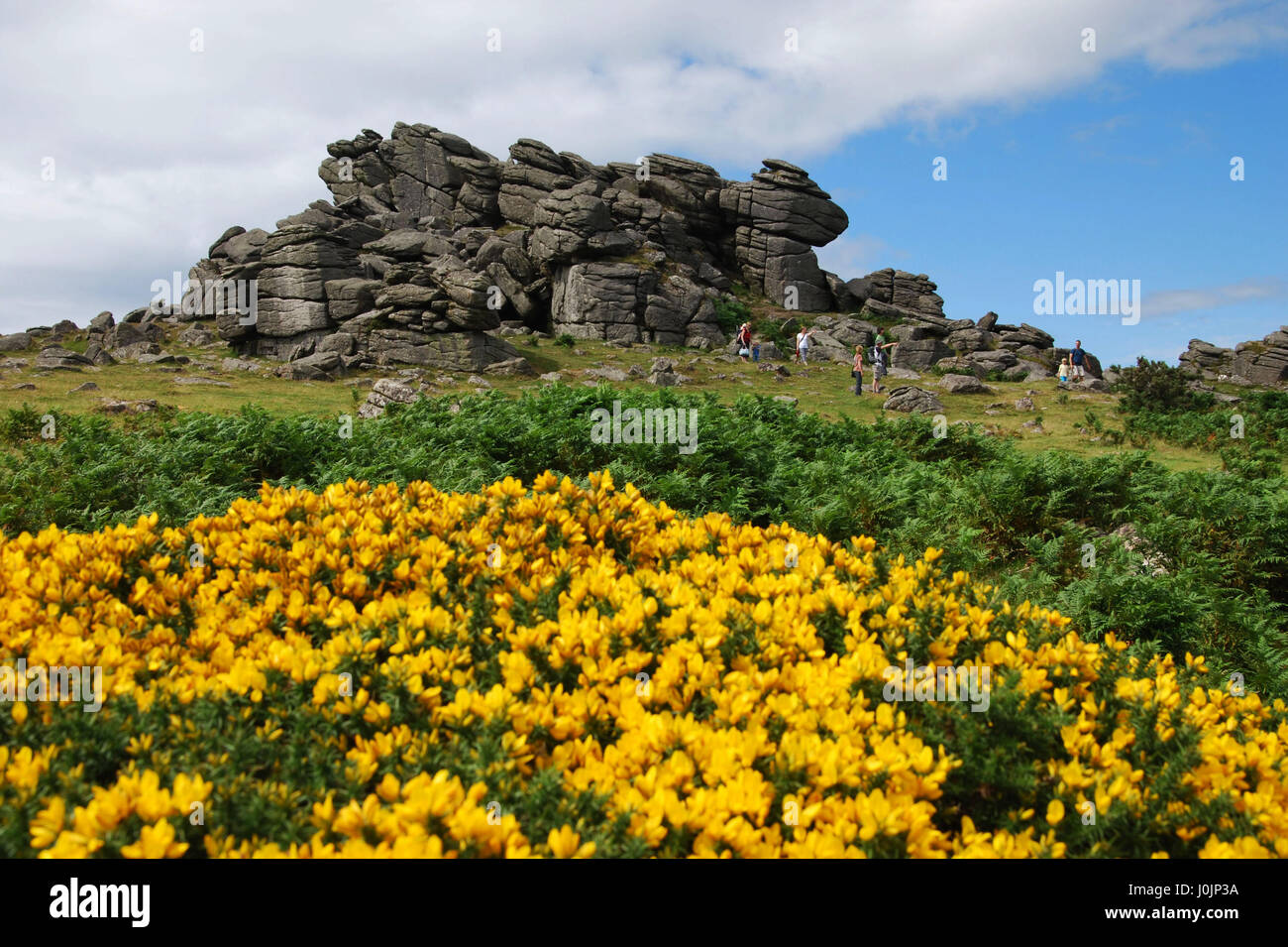 Hound Tor near Manaton, Dartmoor National park United Kingdom Stock