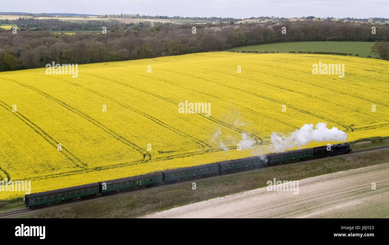 Lms black 5 hires stock photography and images Alamy