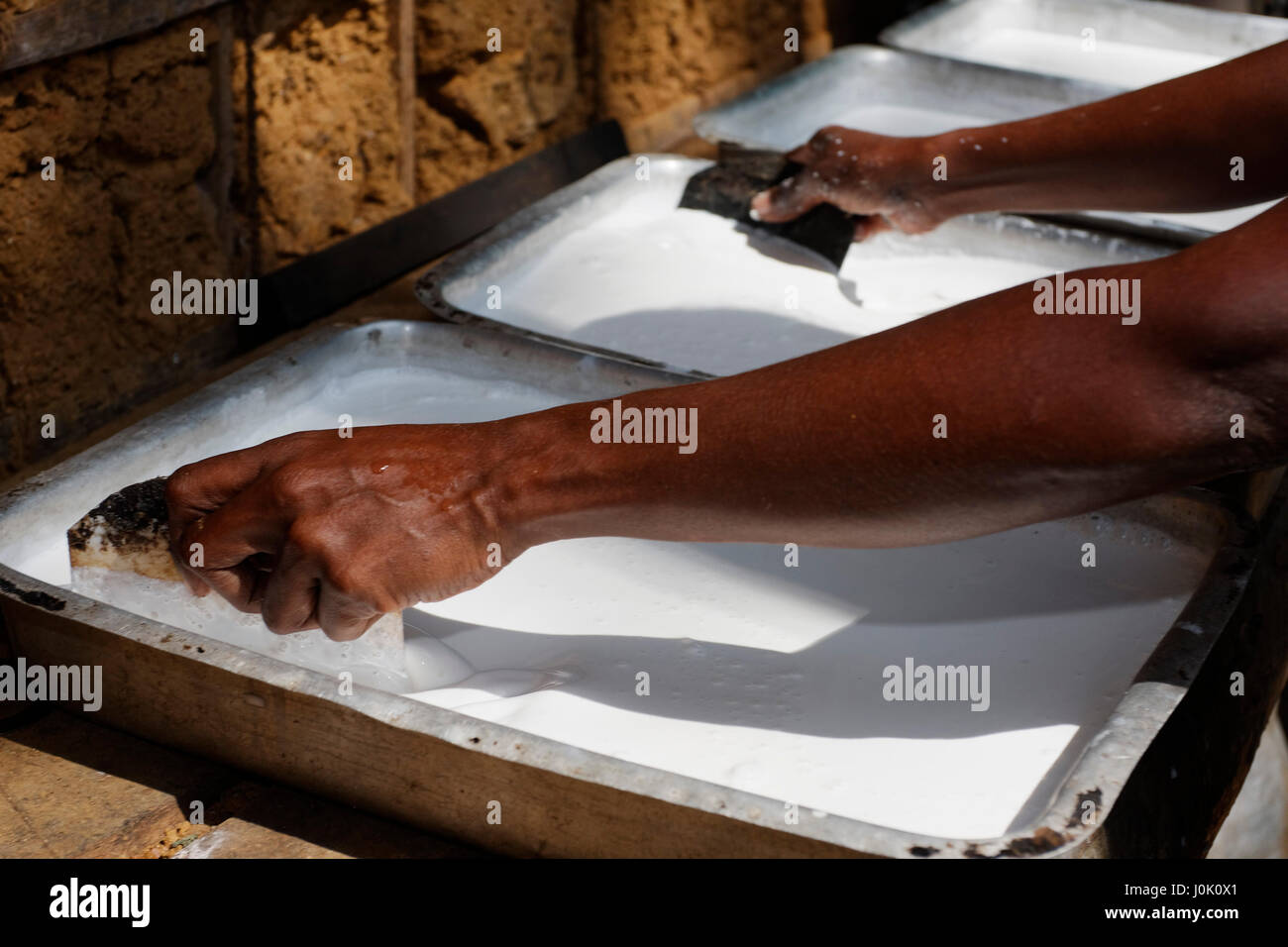 Rubber (latex) production Stock Photo Alamy