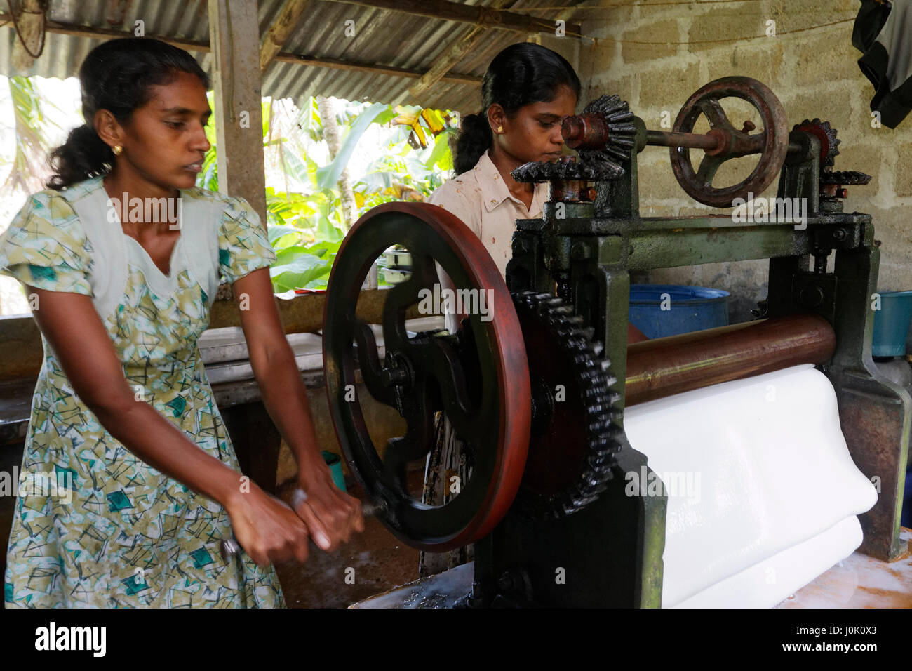 Rubber tapping sri lanka hires stock photography and images Alamy