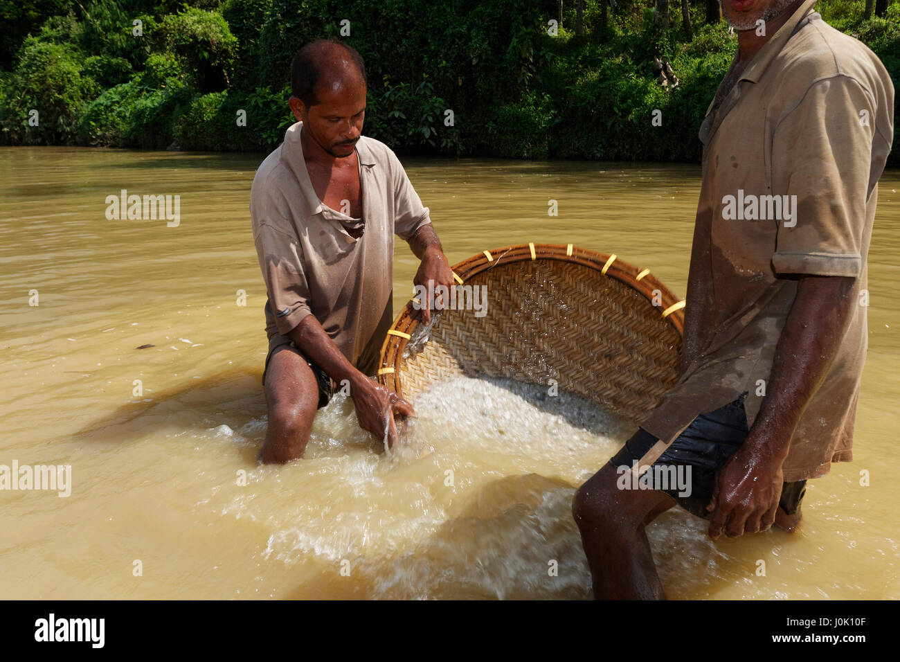 Sapphire mining in river, Sri Lanka Stock Photo Alamy