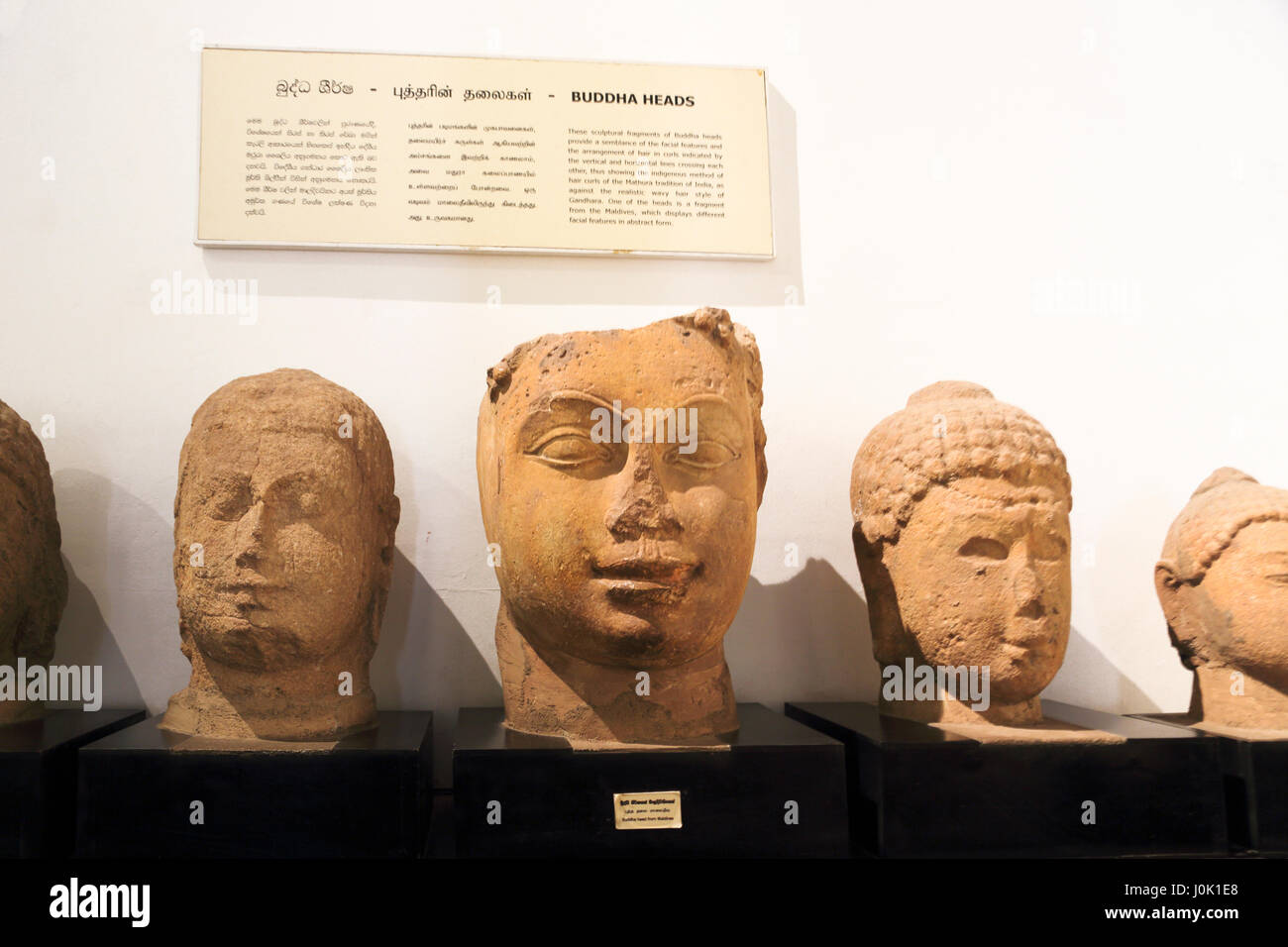 Colombo Sri Lanka National Museum collection of Buddha heads with different facial features the one in the centre is from the Maldives Stock Photo