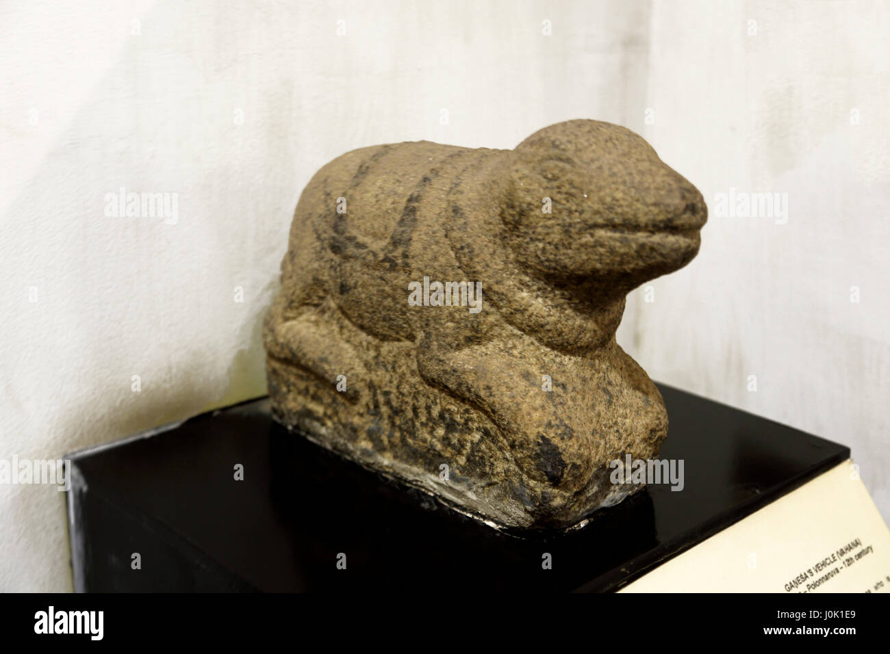 Mooshika High Resolution Stock Photography And Images Alamy https www alamy com stock photo colombo sri lanka national museum 12th century figure of mushika ganeshas 138101217 html