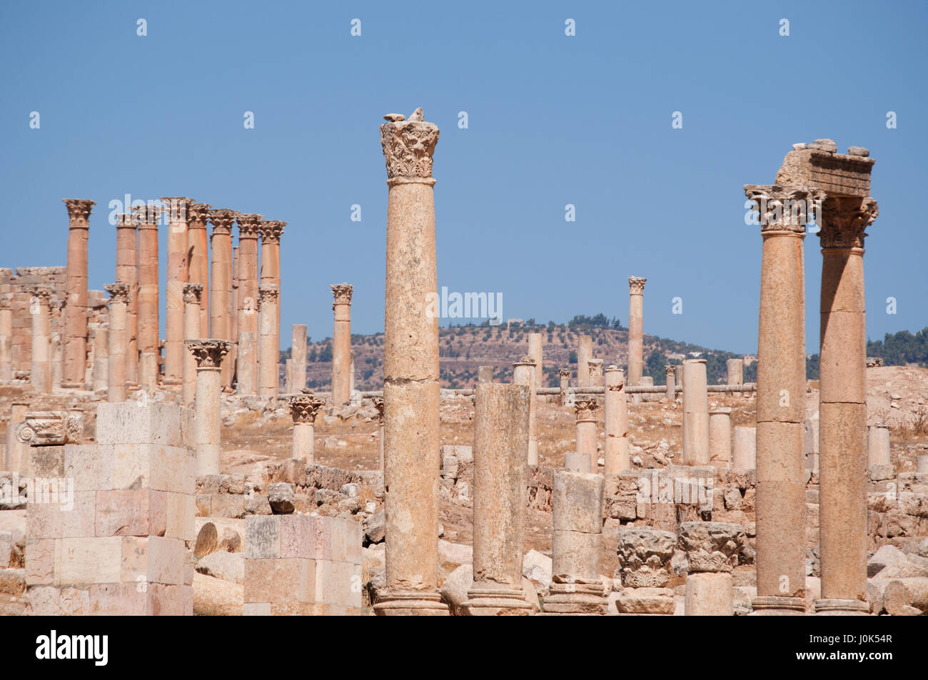 Old Gerasa: Corinthian columns of the Temple of Artemis, in the ...