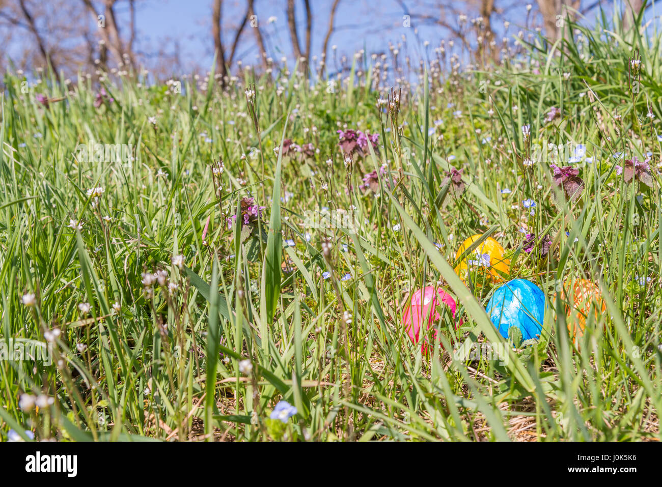 Easter egg on grass with beautiful flowers Stock Photo - Alamy