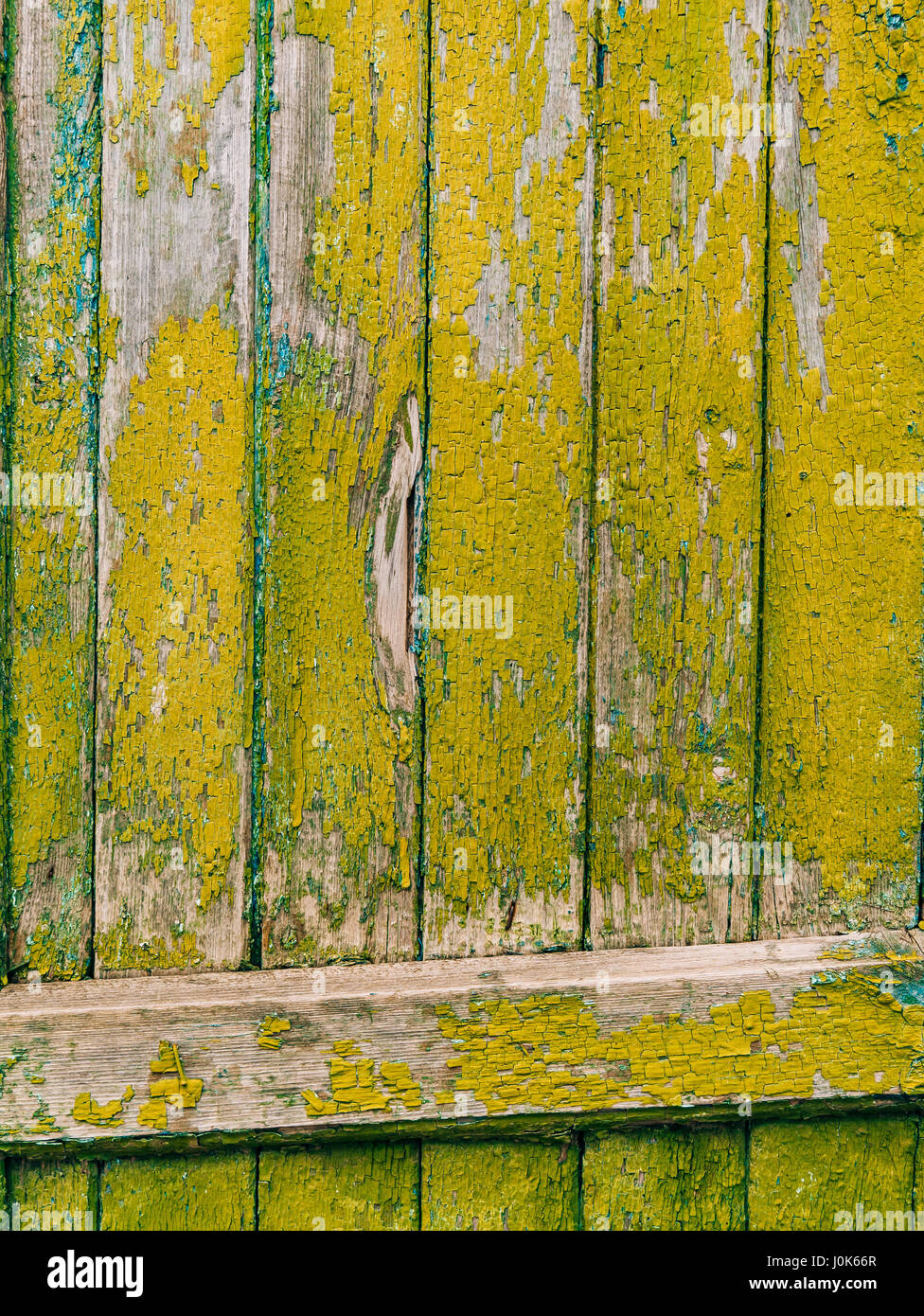 Green doors. Wood texture. Old shabby, irradiated paint. Old wooden