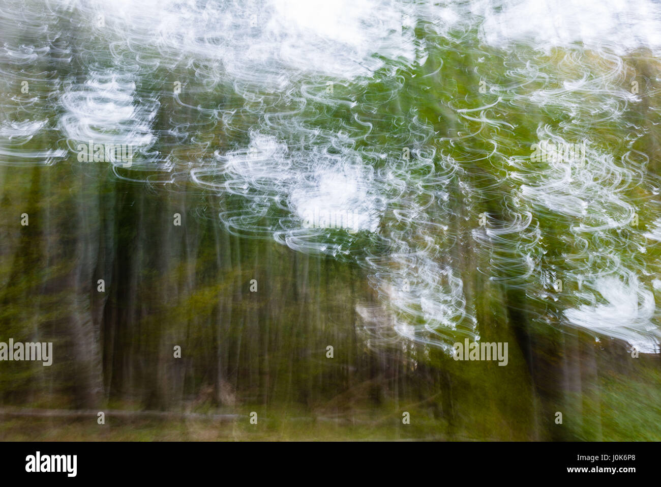 Light writing music into the wood, blurred, island of Moen, Denmark, Scandinavia, Europe Stock Photo