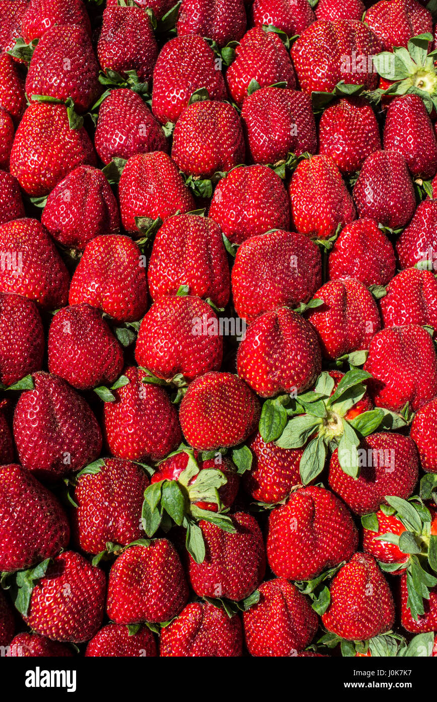 Pile of fresh strawberries as a fruit background Stock Photo - Alamy