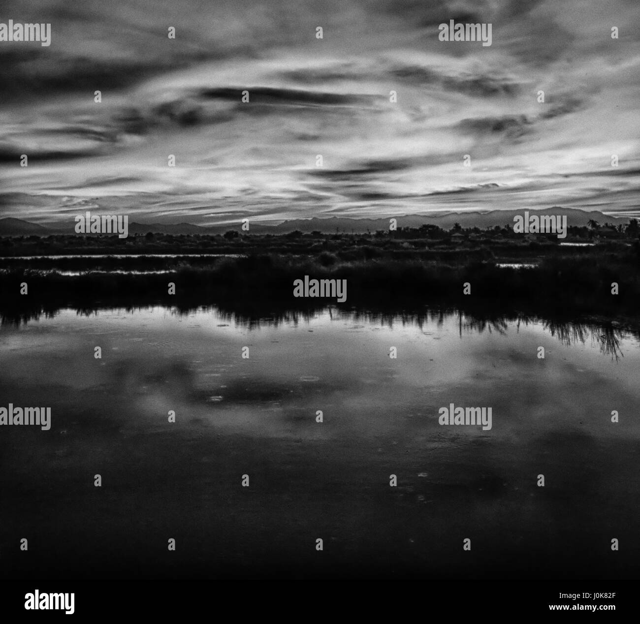 Bush sunrise with silhouette Black and White Stock Photos & Images - Alamy