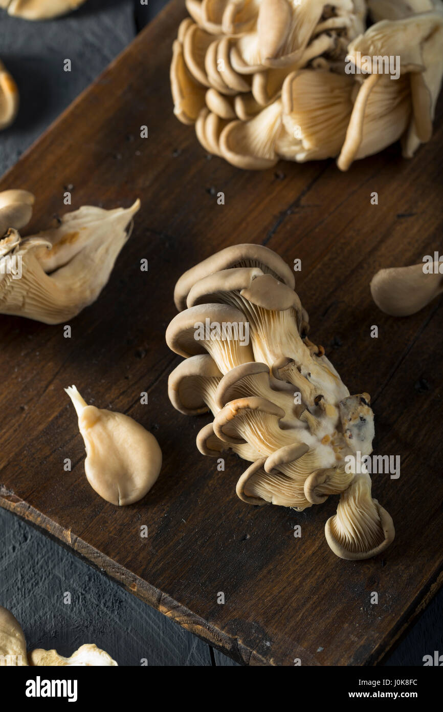 Raw Organic Oyster Mushrooms in a Bunch Stock Photo Alamy