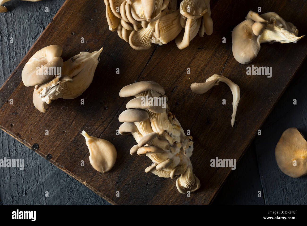 Raw Organic Oyster Mushrooms in a Bunch Stock Photo