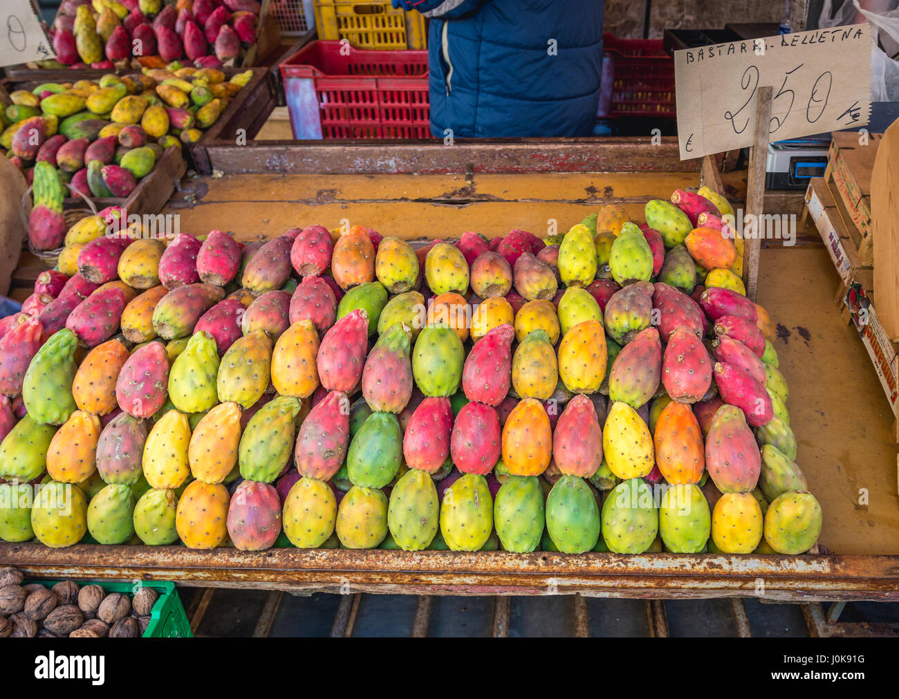 Opuntia Ficus Indica Fruits Called Indian Figs Opuntia Or Cactus