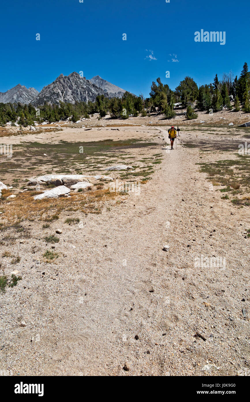 CA03206-00...CALIFORNIA - Hiker at trail intersection below Kearsarge Pass on the combined JMT/PCT in Kings Canyon National Park. Stock Photo