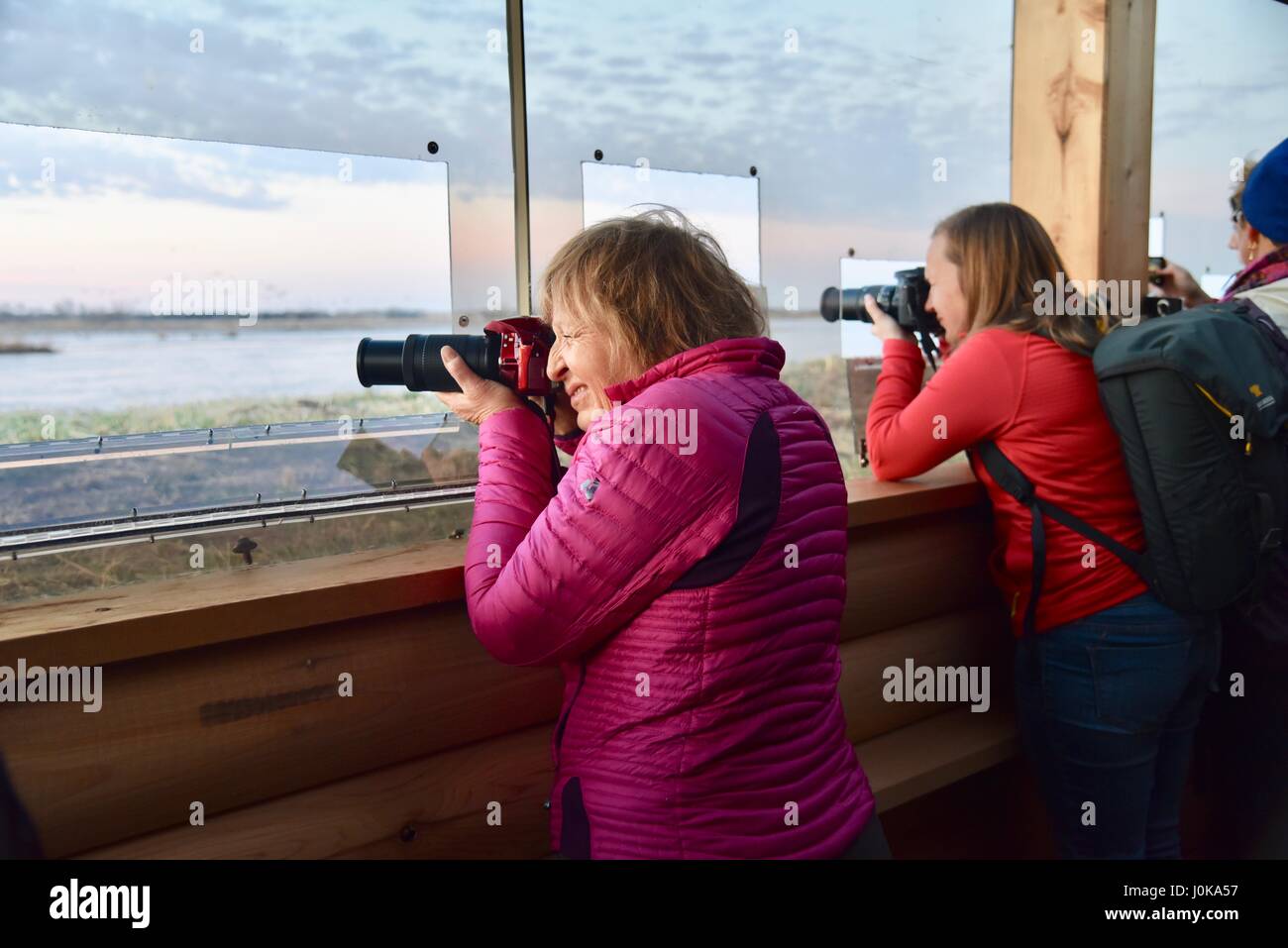 Two female photographers shooting photographs of Sandhill Cranes