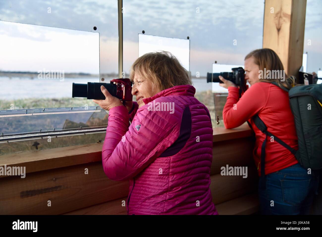Two female photographers shooting photographs of Sandhill Cranes through blind along river at Crane Trust, Grand Island, Nebraska, USA. Stock Photo