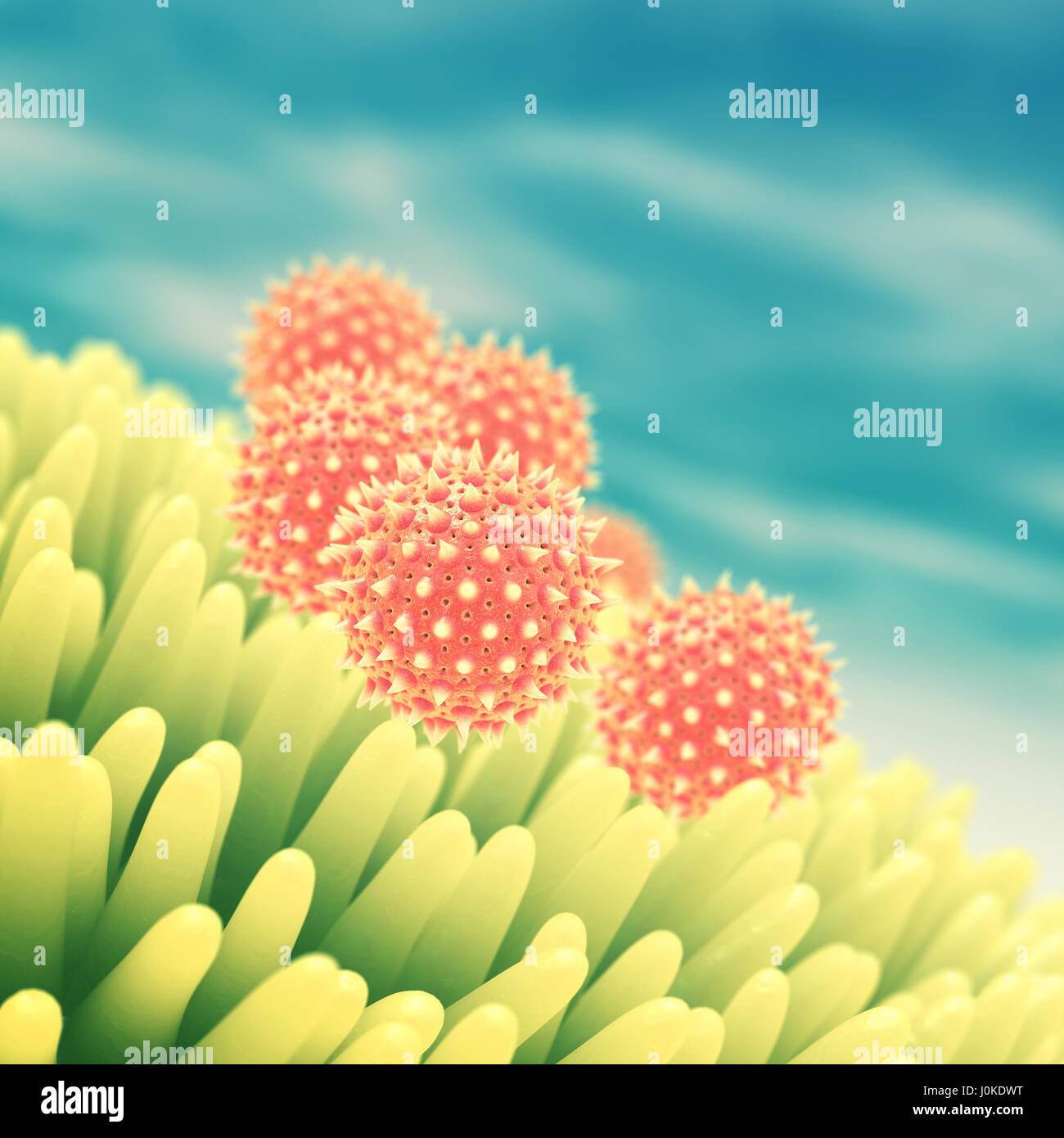 Plant Pollen Microscopic Stock Photos & Plant Pollen Microscopic Stock Images Alamy