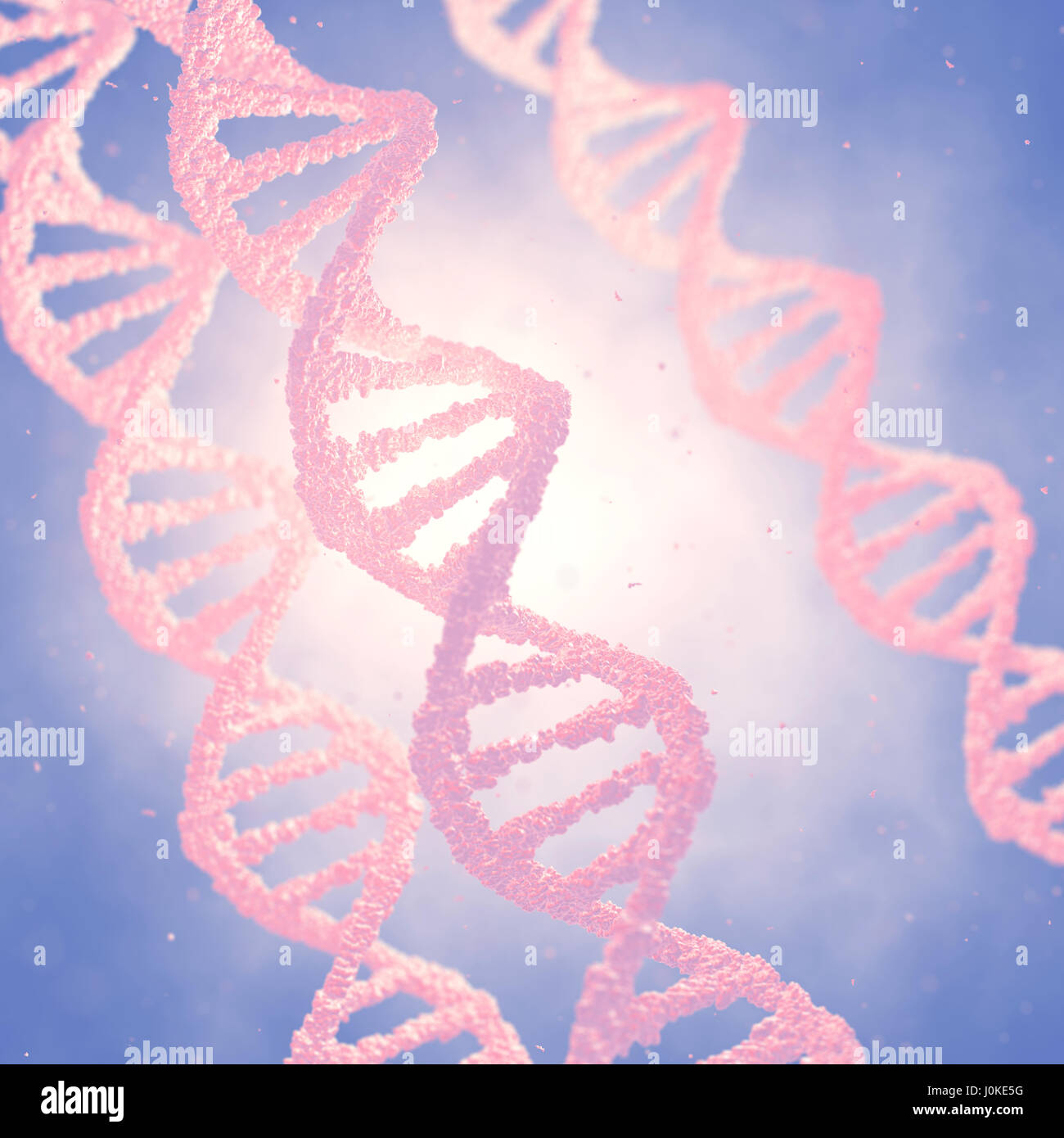 Dna double helix molecules and chromosomes , Genetic engineering Stock Photo