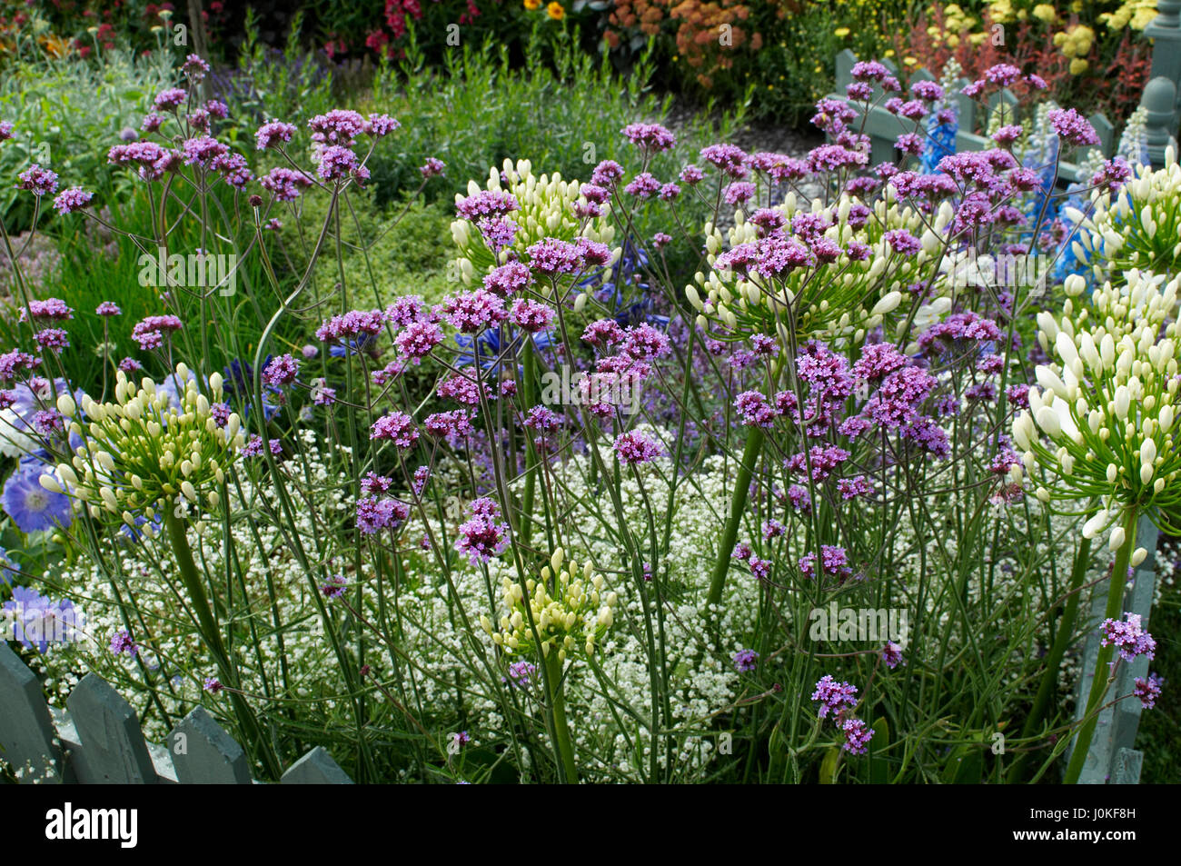Assorted garden containers with mixed planting Stock Photo - Alamy