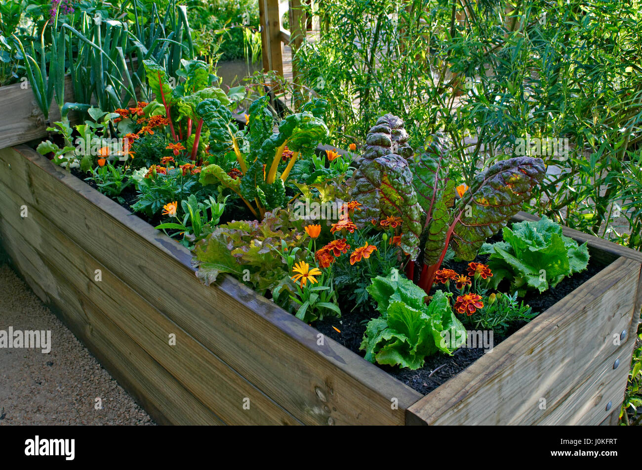 A raised bed of vegetables and flowers in a urban garden Stock Photo ...