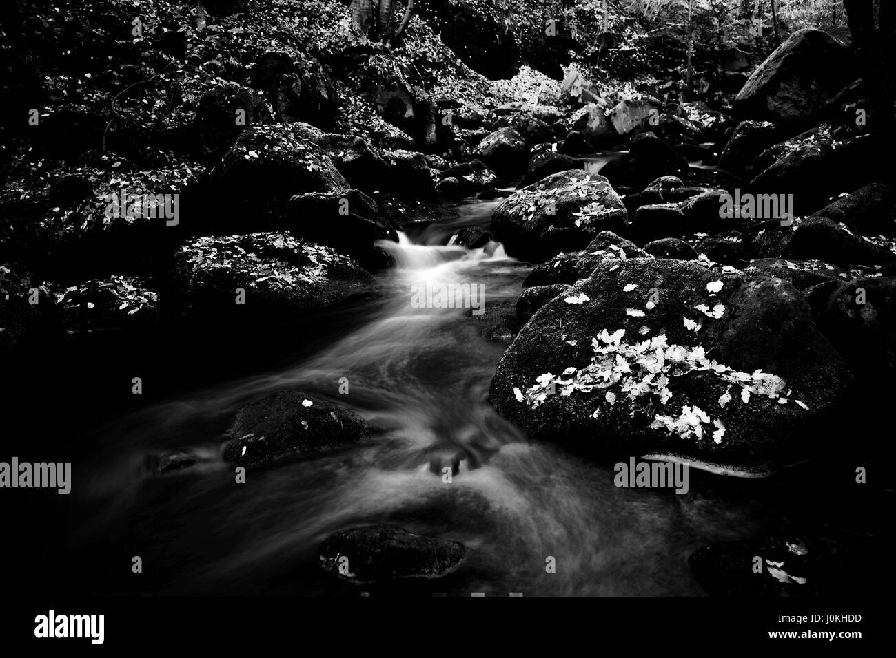 Stream flows through wooded valley in Calderdale, Yorkshire, UK, Long Exposure Stock Photo