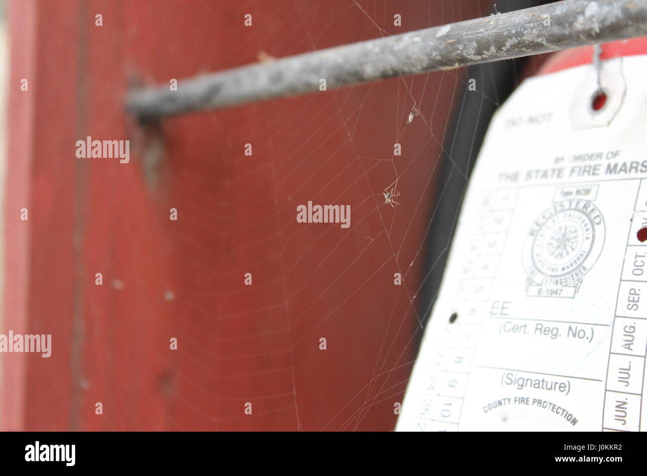 Red color spider hi-res stock photography and images - Alamy