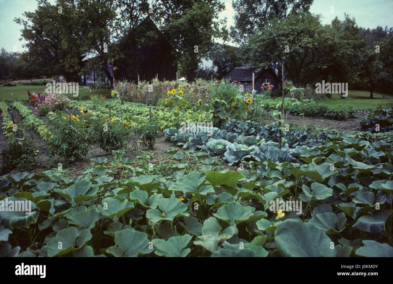 Lush vegetable garden, Beebe, Quebec, Canada Stock Photo Alamy