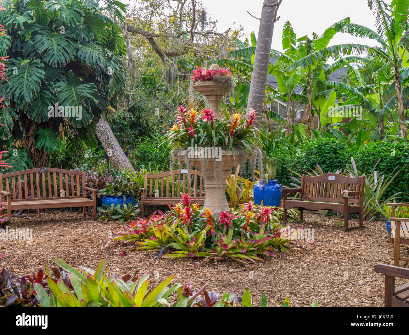 Florida Sarasota Usa Marie Selby Botanical Gardens Stock Photos