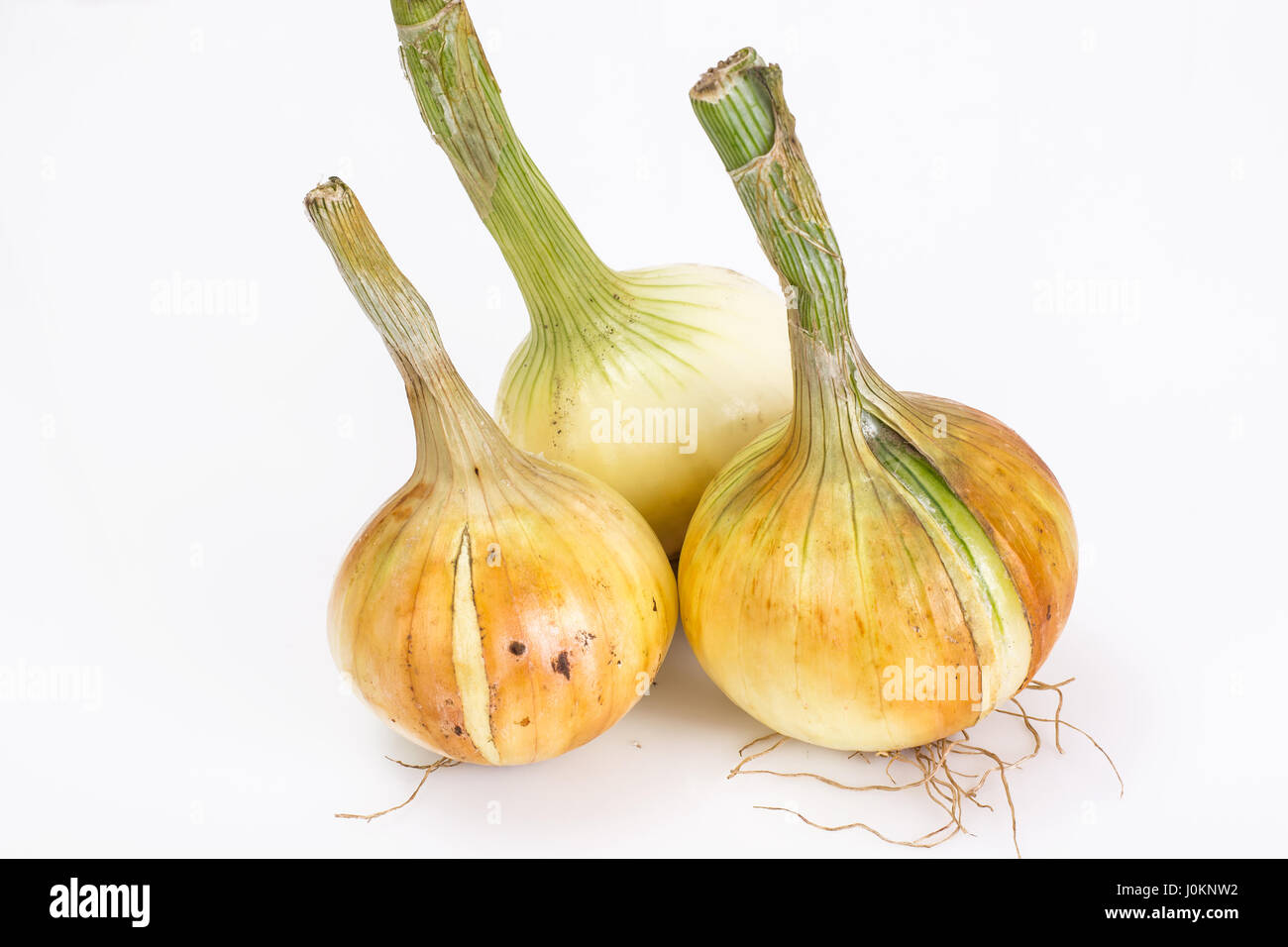 White sack bag of onions hi-res stock photography and images - Alamy