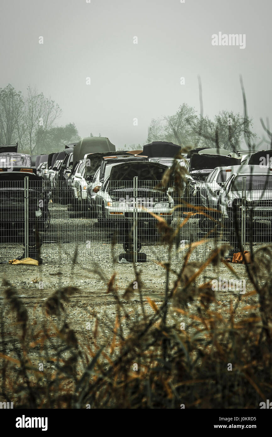 Auto hamilton hires stock photography and images Alamy Auto hamilton hires stock photography and images Alamy