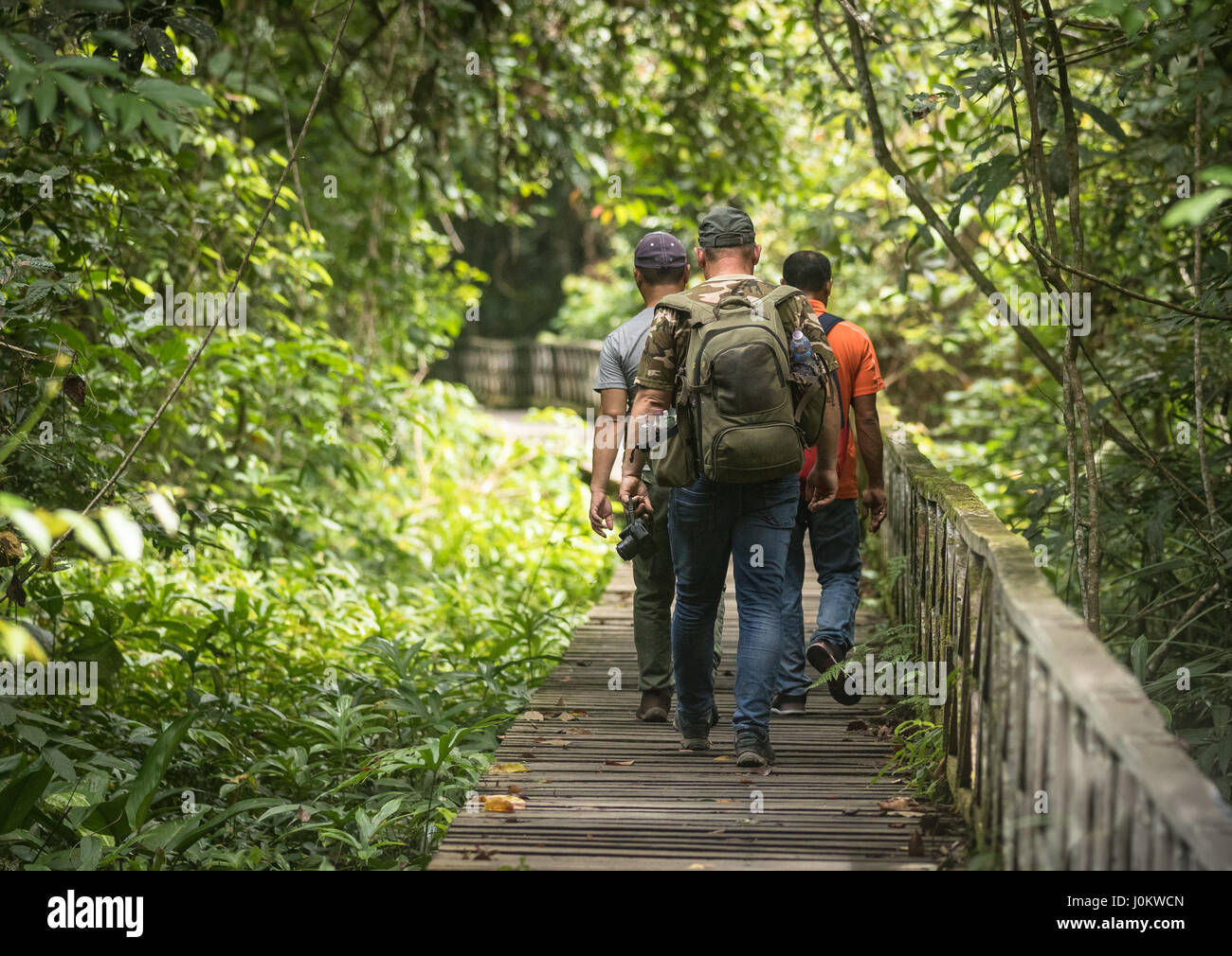 The boardwalk in Niah National Park in Sarawak Malaysia, walked by three people, tourists going to the famous Niah caves. Wooden plank walk and green  Stock Photo