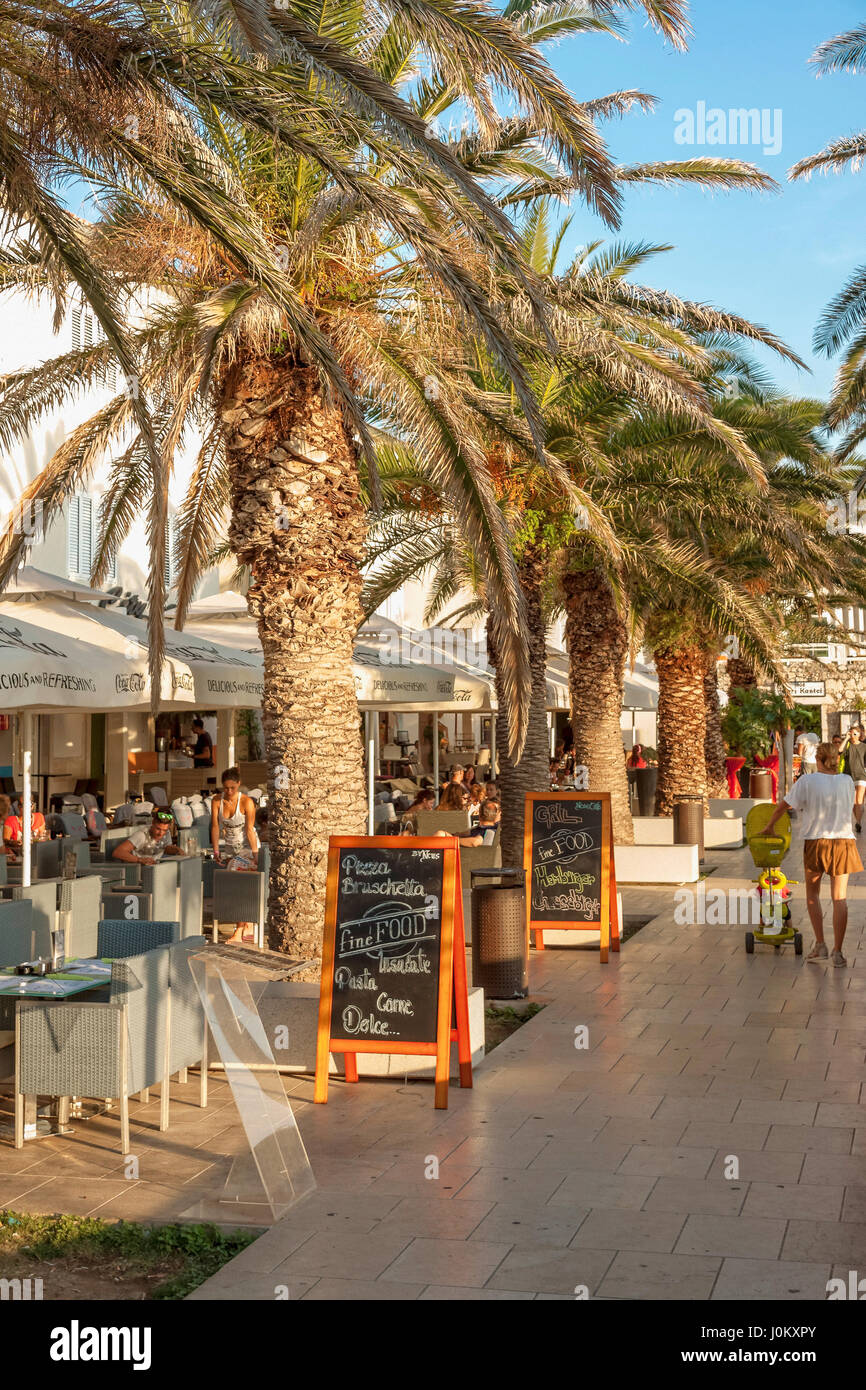 Palm trees in Novalja, Pag island, Croatia Stock Photo Alamy