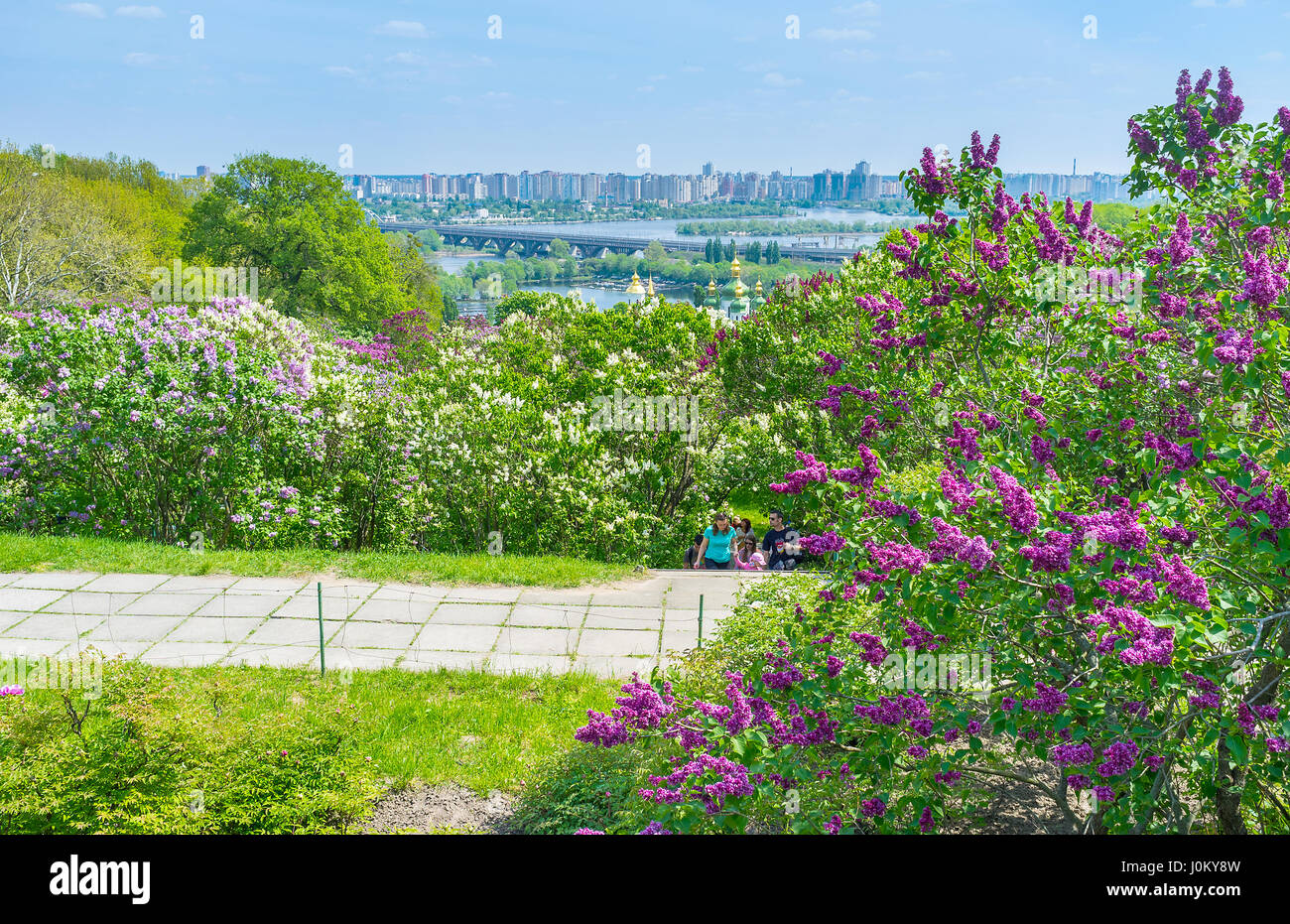 KIEV, UKRAINE - MAY 2, 2016: Botanical Garden becomes very popular during lilac blossom, on May 2, in Kiev Stock Photo