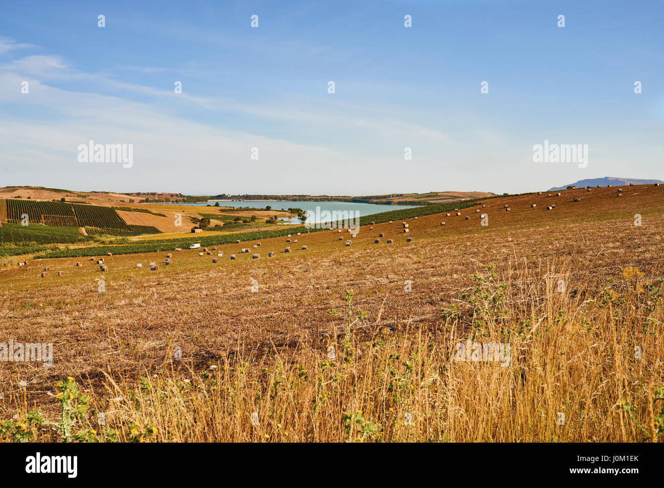 Agriculture field Sicily, Italy Stock Photo Alamy