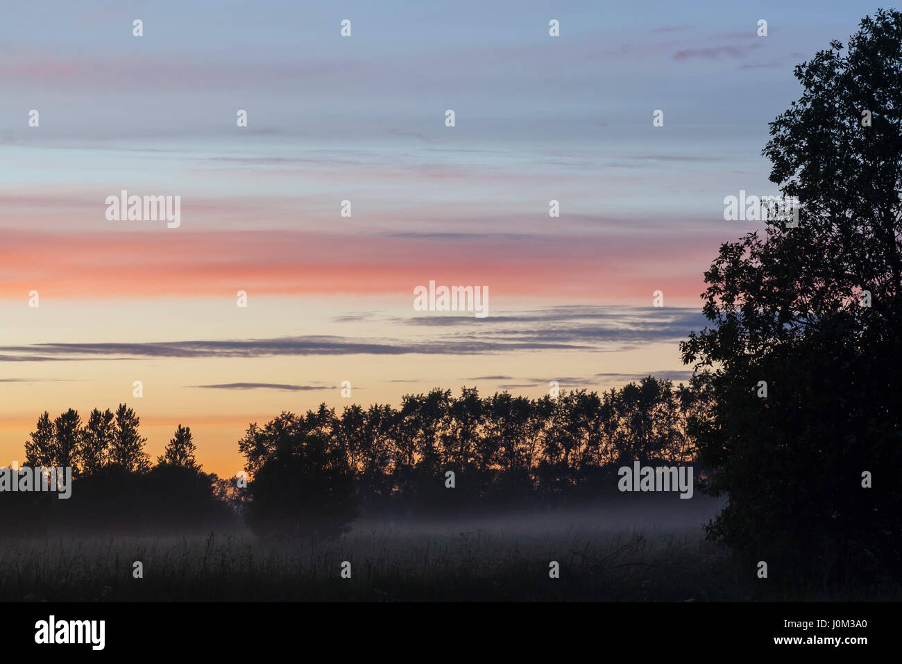 Sunset above the forest evening landscape Stock Photo - Alamy