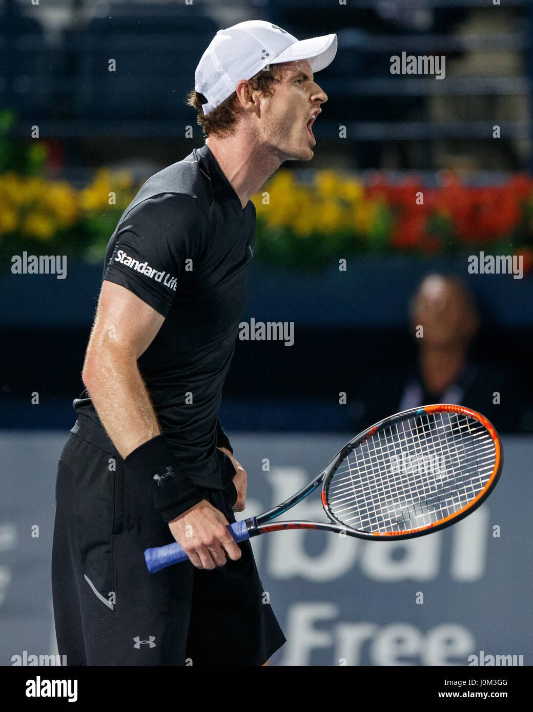 Andy Murray High Resolution Stock Photography and Images - Alamy