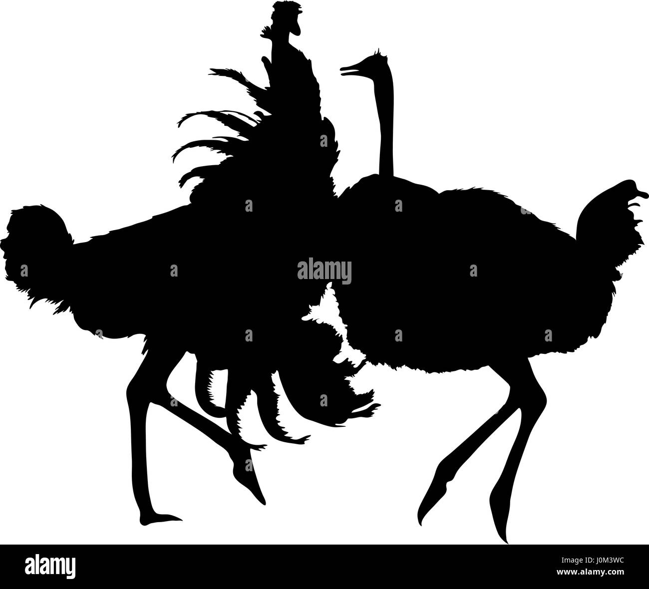 Silhouette of two fighting ostriches Stock Vector