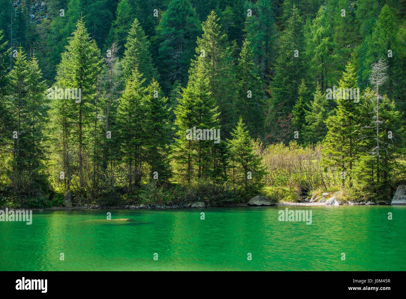 Sunny day at the lake hi-res stock photography and images - Alamy