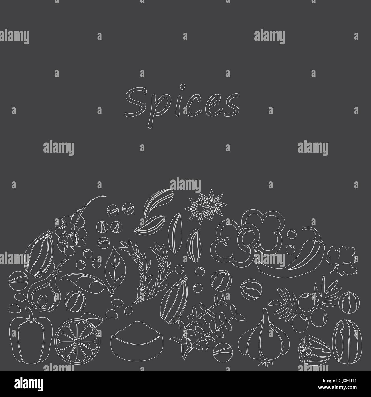 Vector hand drawn set with Herbs Spices Stock Vector Image & Art - Alamy