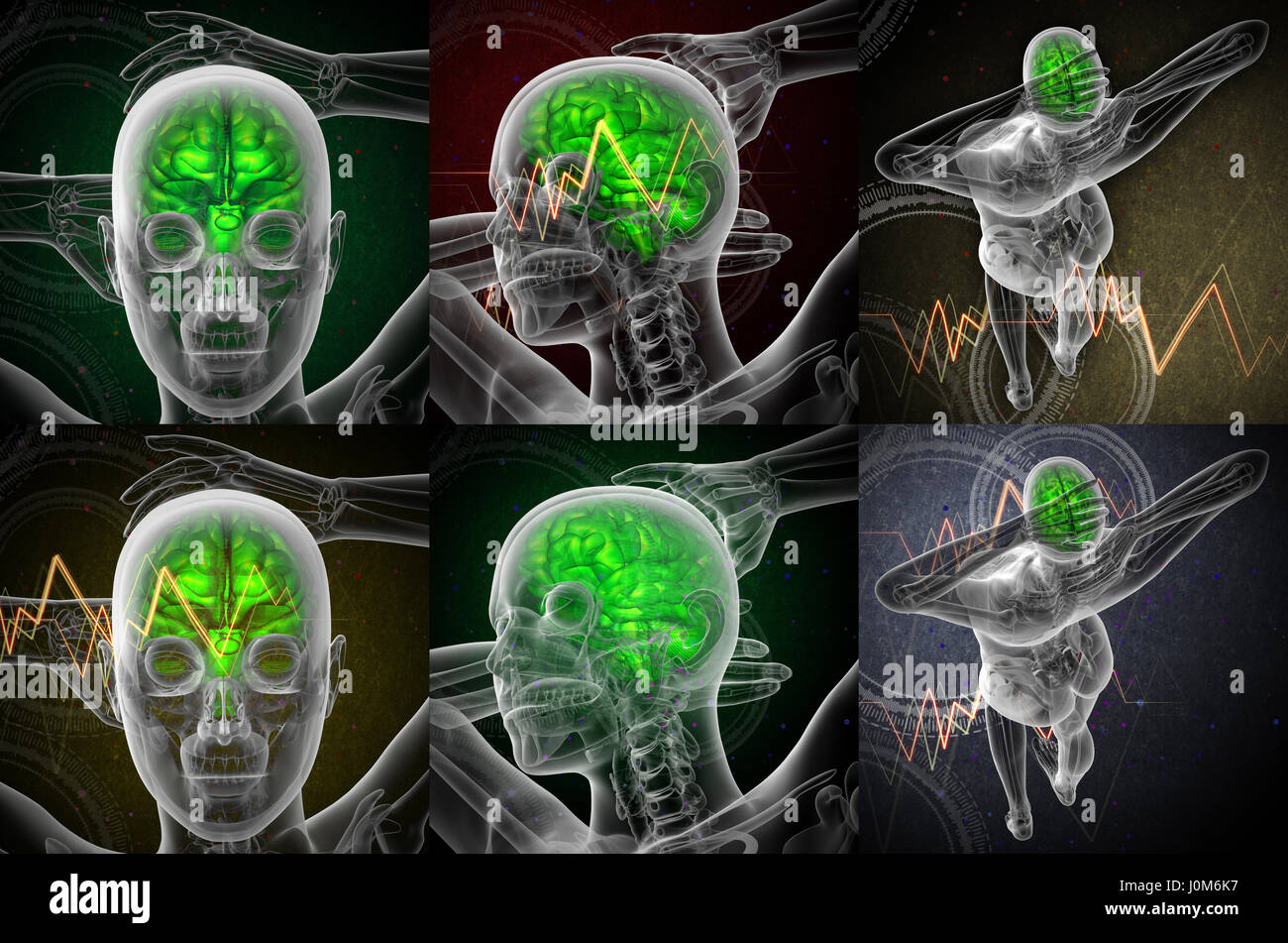 3d rendering medical illustration of the human brain Stock Photo - Alamy