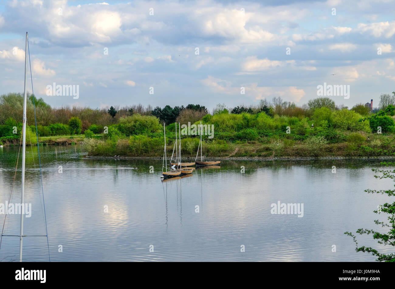Four sailing boats moored on calm lake.  Shot taken at Fairlop Waters, Essex in springtime. Stock Photo