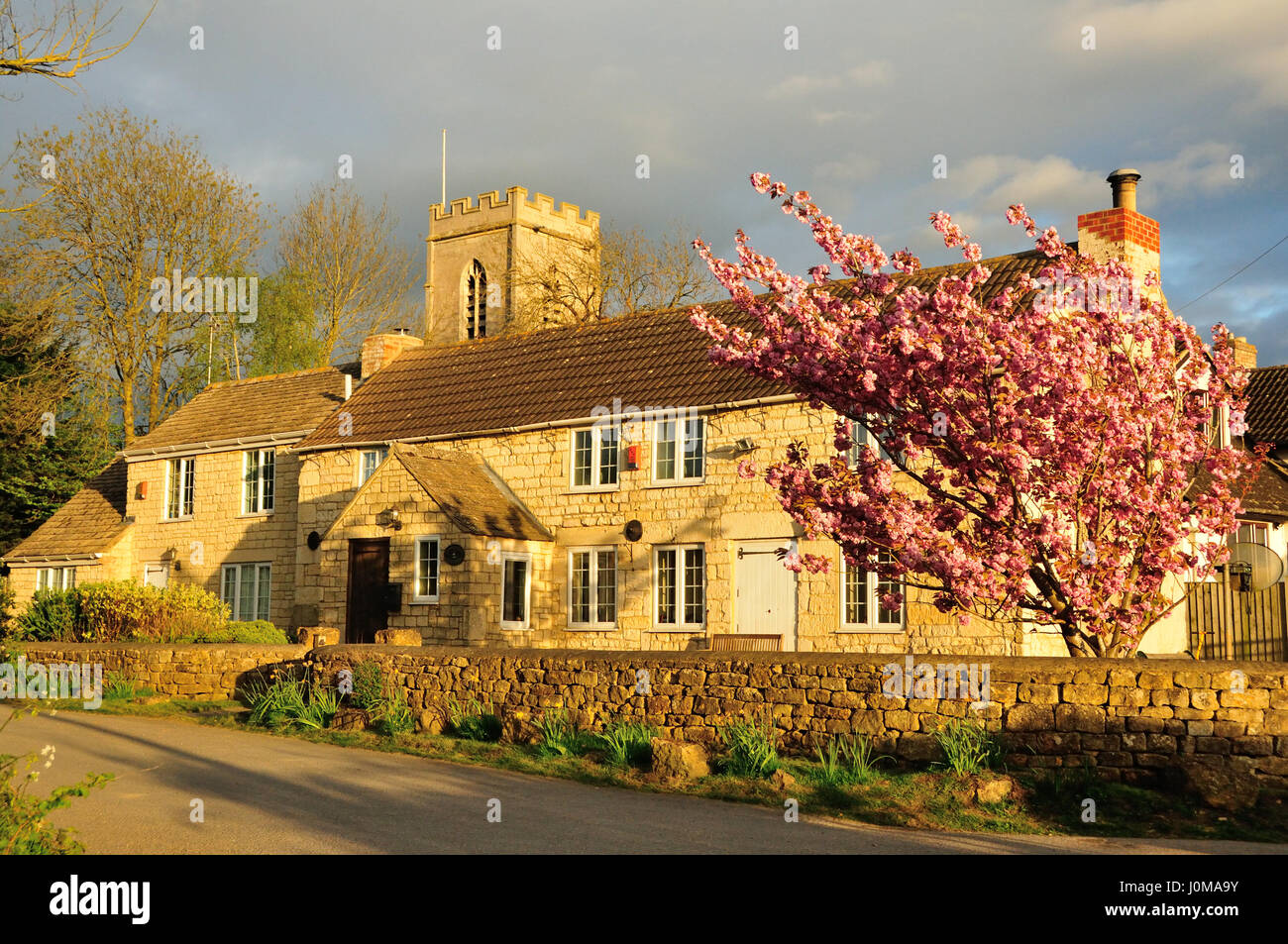 Cotswold house with blooming tree Stock Photo