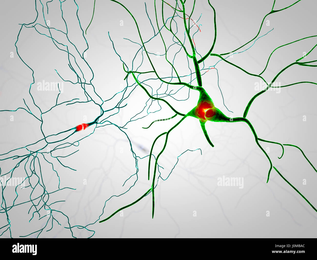 Brain, neurons, synapses, neural network circuit of neurons, degenerative diseases, Parkinson, 3d rendering Stock Photo