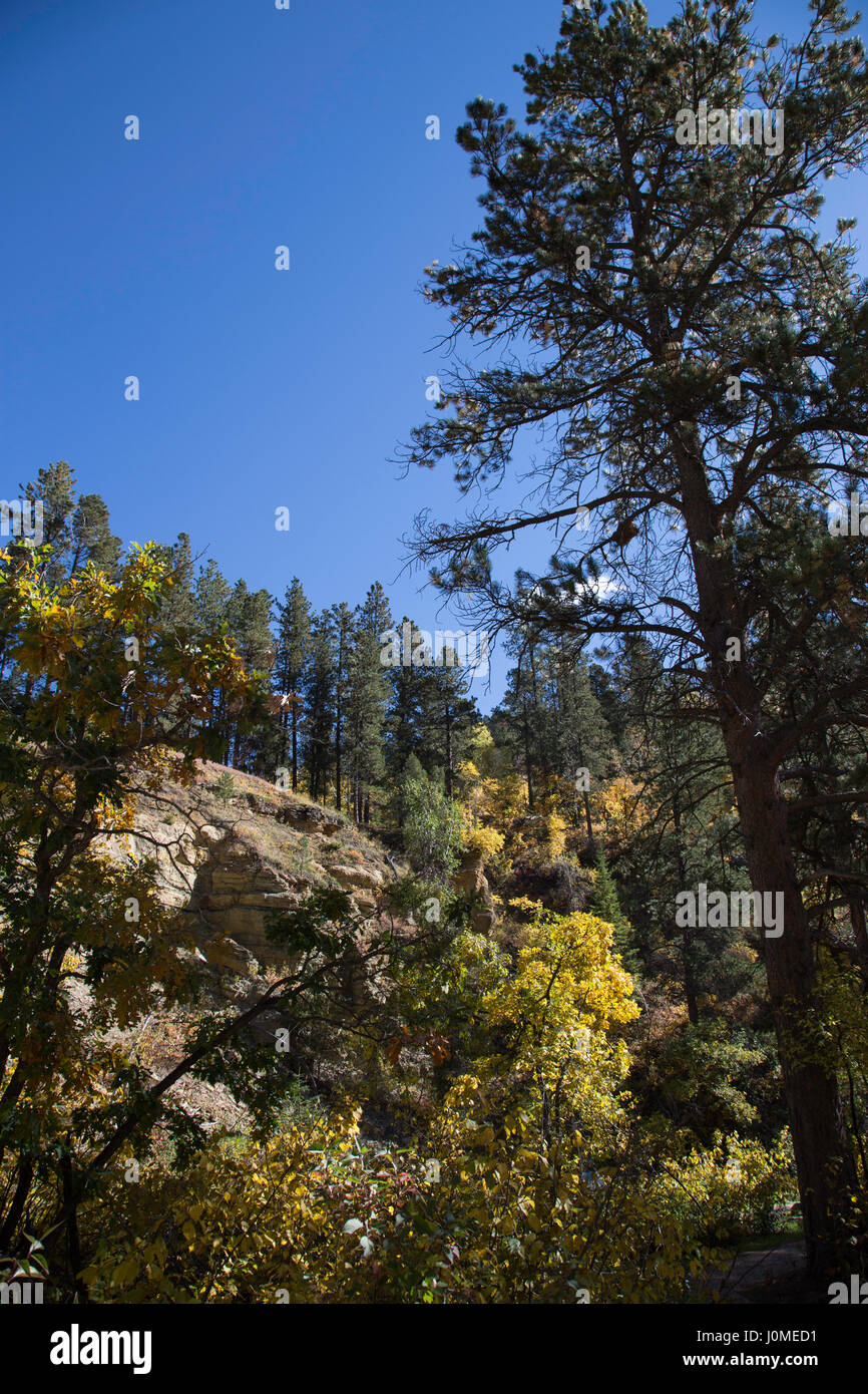 Spearfish Canyon, Black Hills National Forest, SD, USA Stock Photo Alamy