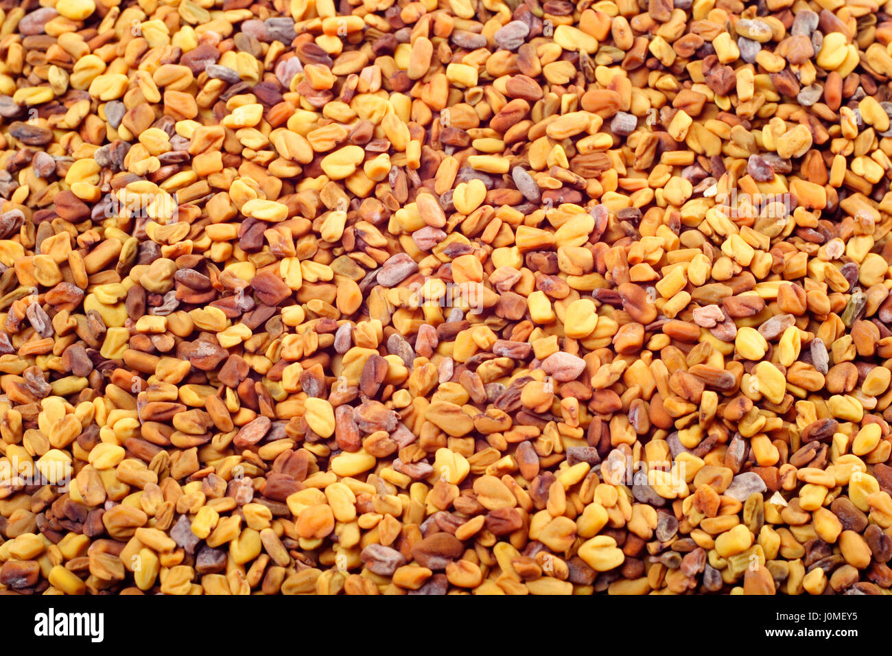 Fenugreek (Trigonella foenum-graecum) seeds. Close-up, full frame. Stock Photo