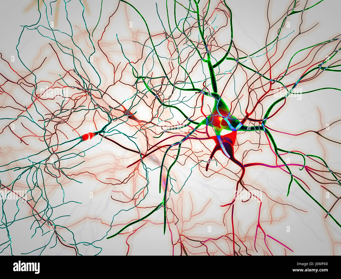 Brain, neurons, synapses, neural network circuit of neurons, degenerative diseases, Parkinson, 3d rendering Stock Photo