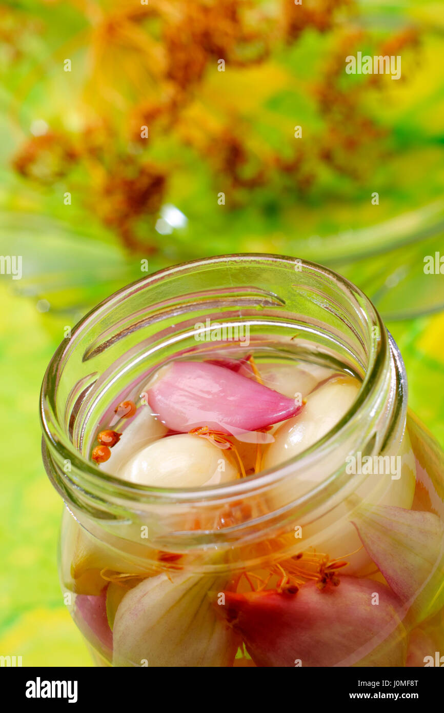 Preserved red and white onions in opened jar with unfocused background Stock Photo