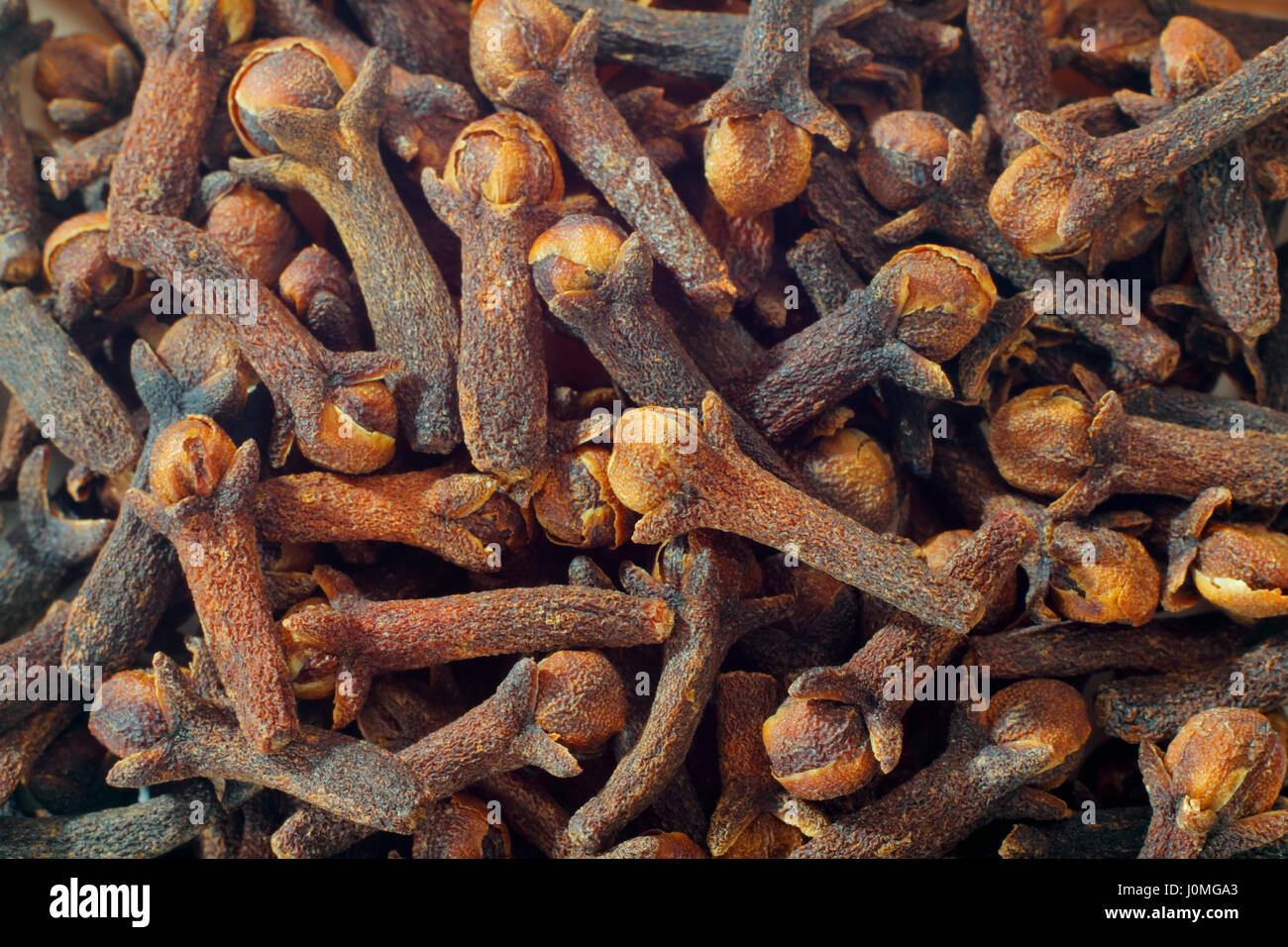 Cloves (Syzygium aromaticum) dried flower buds close up. Full frame
