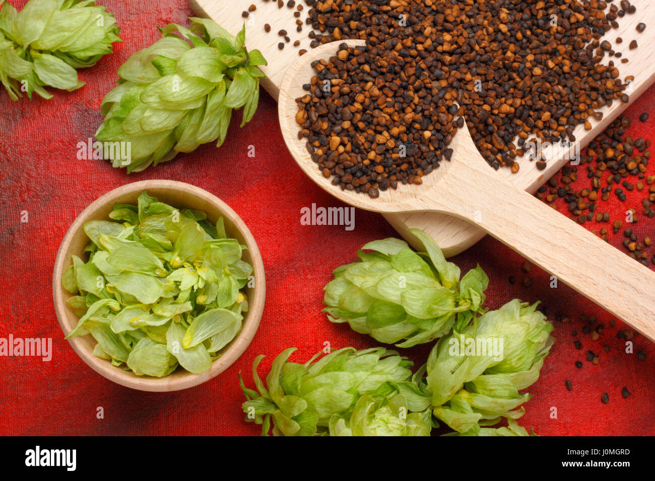 Still life with ingredients for preparation home made beer (hop cone