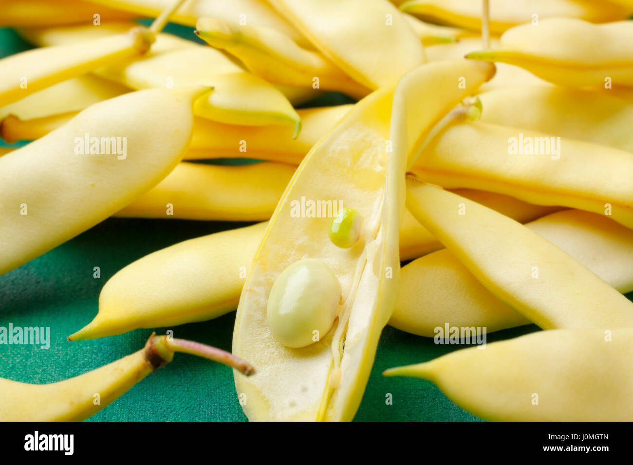 Flat yellow wax beans with one opened bean pod Stock Photo
